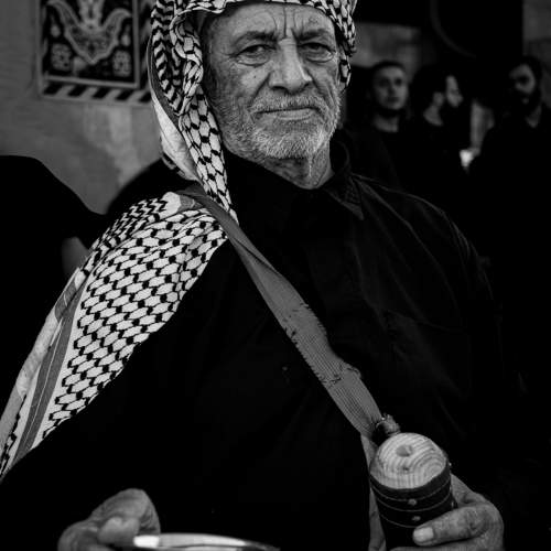Photo #11231123