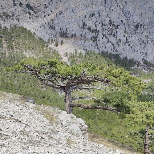 Photo #11231247
