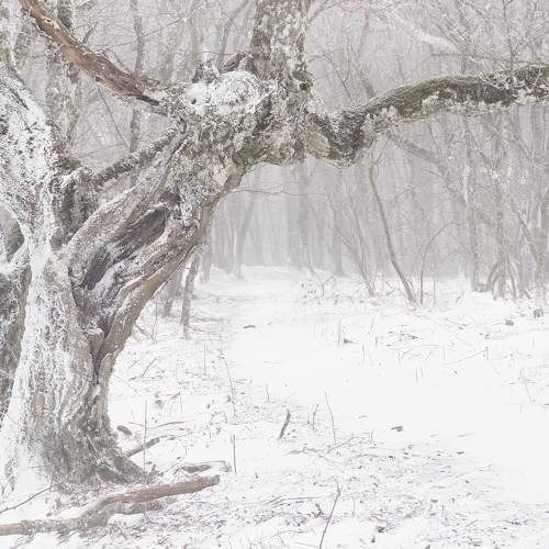 Photo #11231249