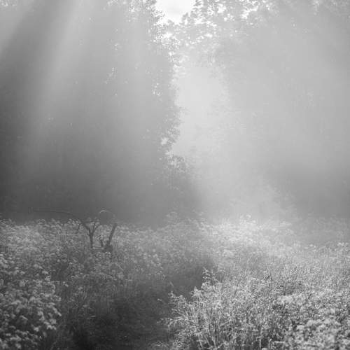 Photo #11231257