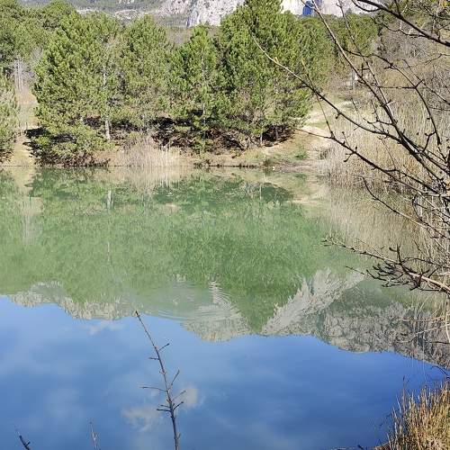 Photo #11231283