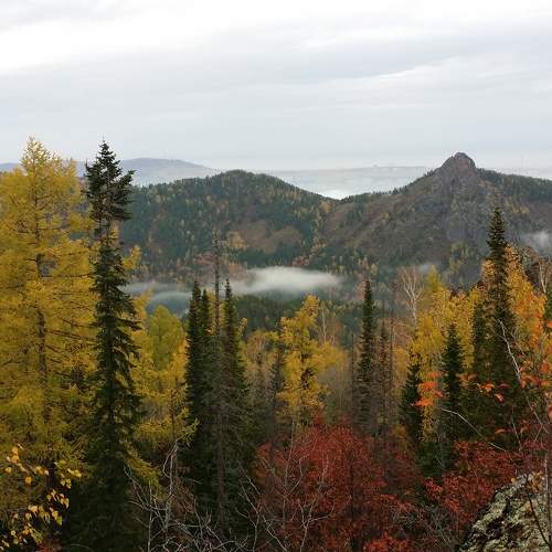 Все краски осени