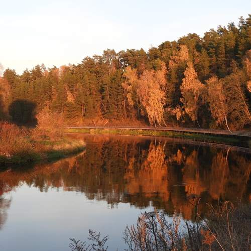 Photo #11231336