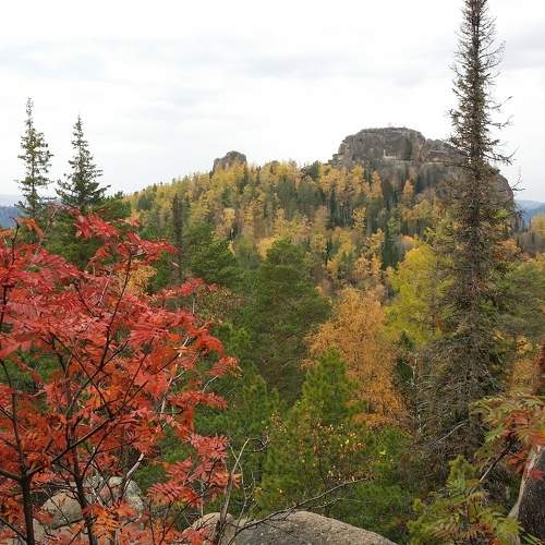 Photo #11231390