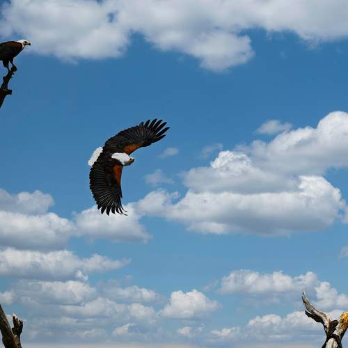 Photo #11231532