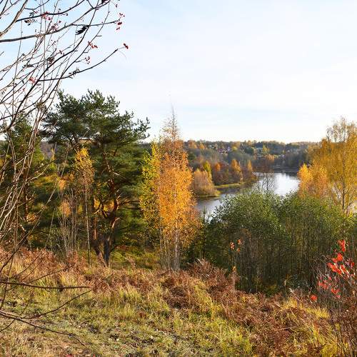 Photo #11231683