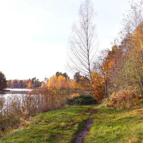 Photo #11231720