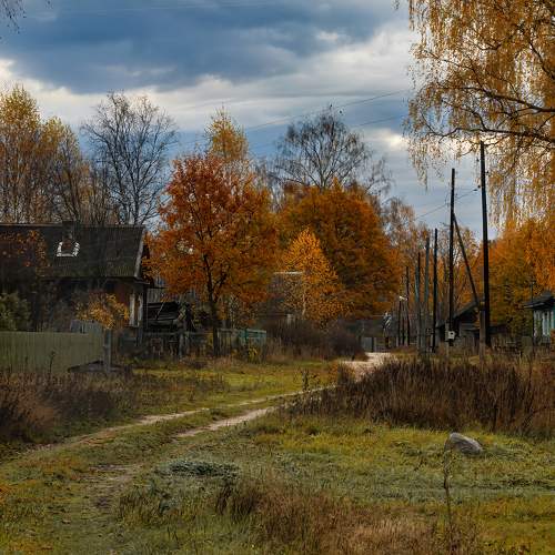 Photo #11231744