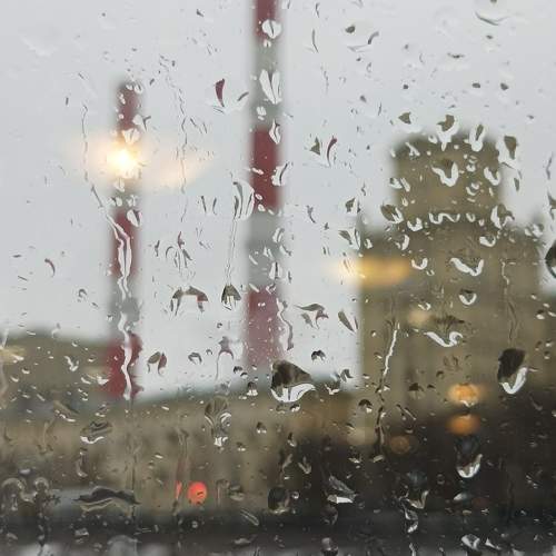Photo #11231814