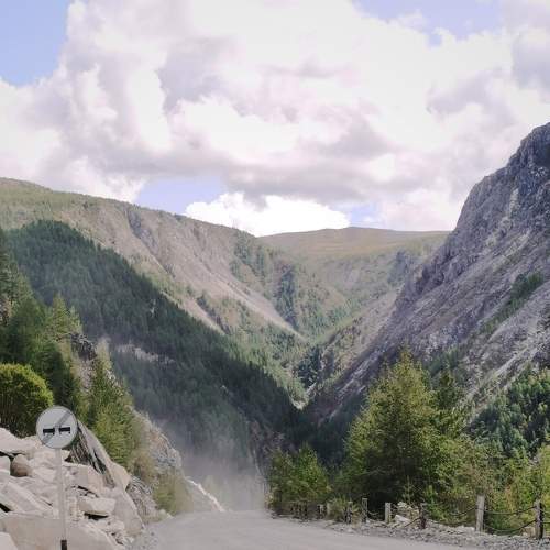 Photo #11231847