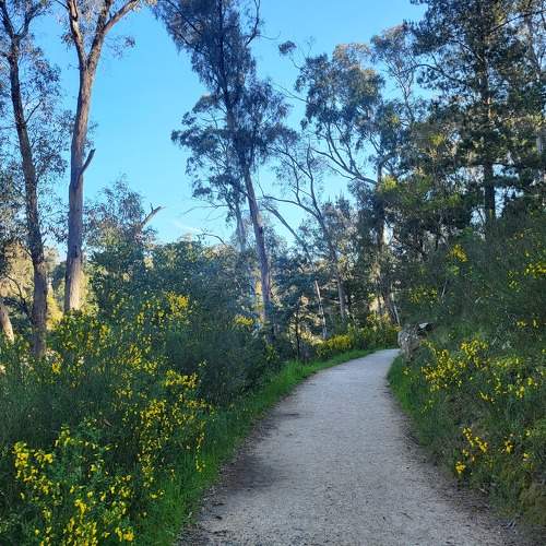 Photo #11231979
