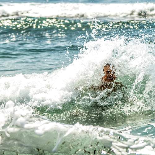 Photo #11231980