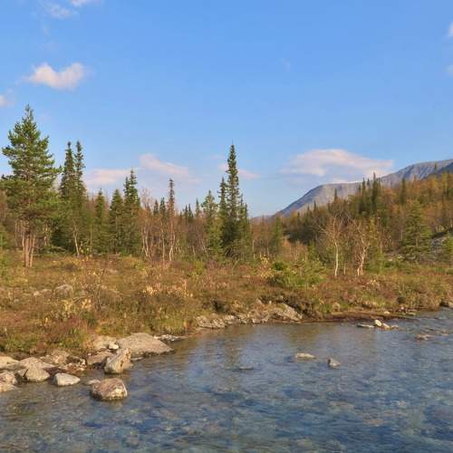 Ясные дни Севера