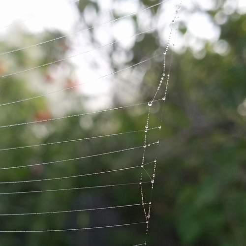 Photo #11232187