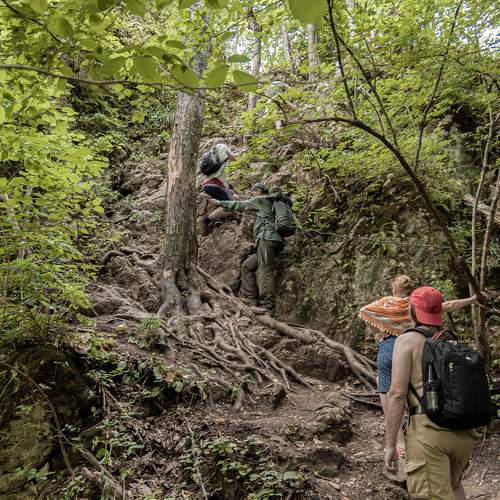 Photo #11232317