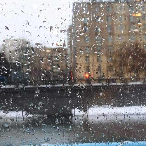Photo #11232430