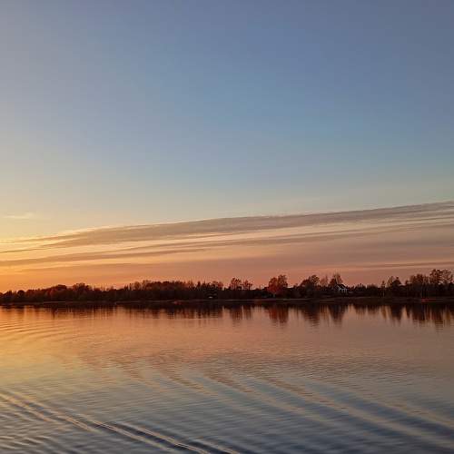Photo #11232516