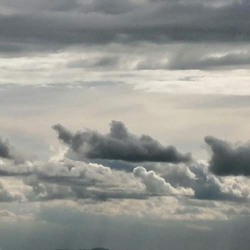 Photo #11232546