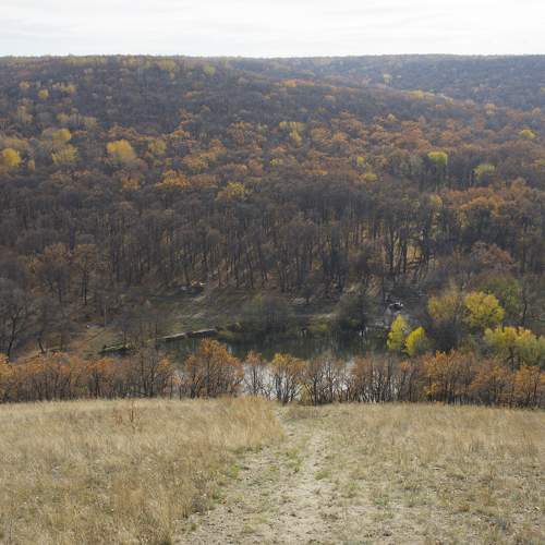 Photo #11232556