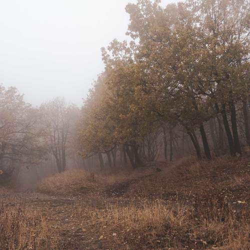 Photo #11232561