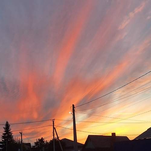 Photo #11232651