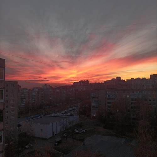 Photo #11232654