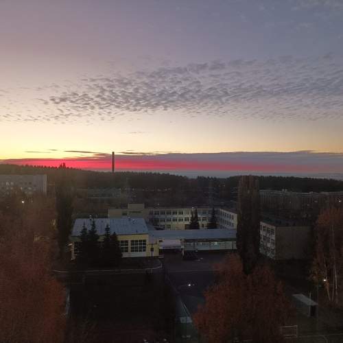 Photo #11232661