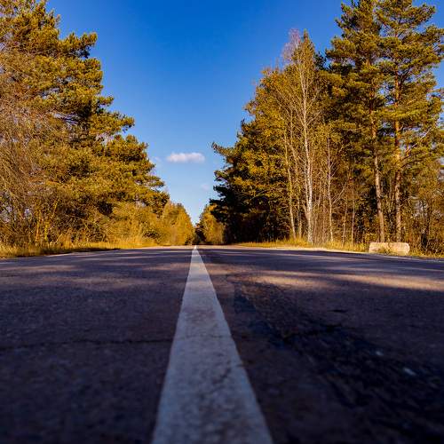 Photo #11232733