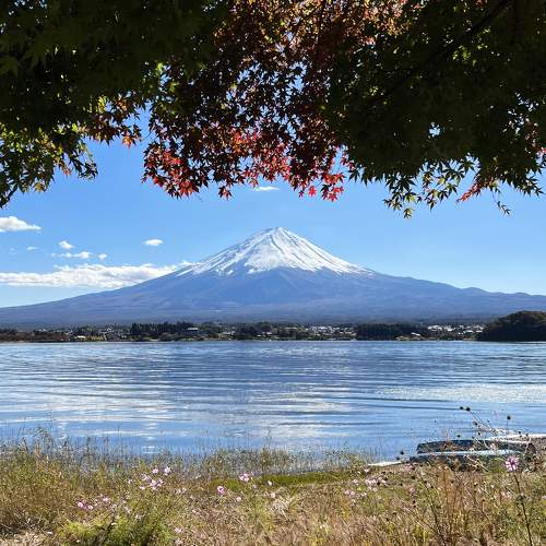 Photo #11232748