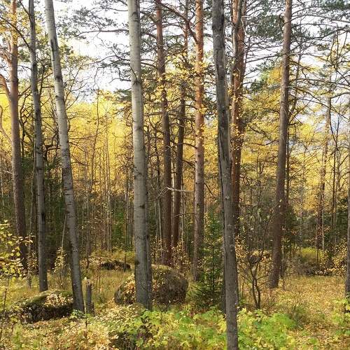Photo #11232792