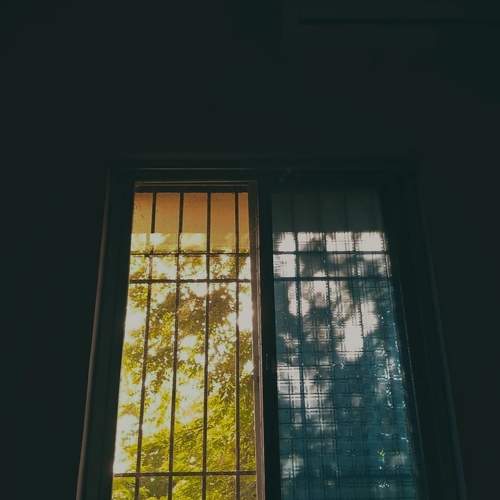 Photo #11232978