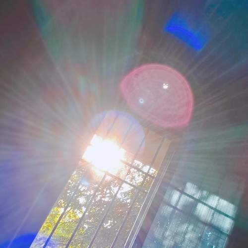Photo #11233067