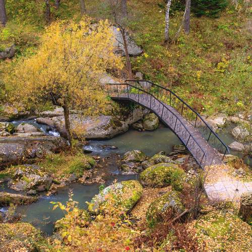 Photo #11233129