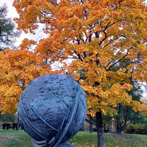 Photo #11233141