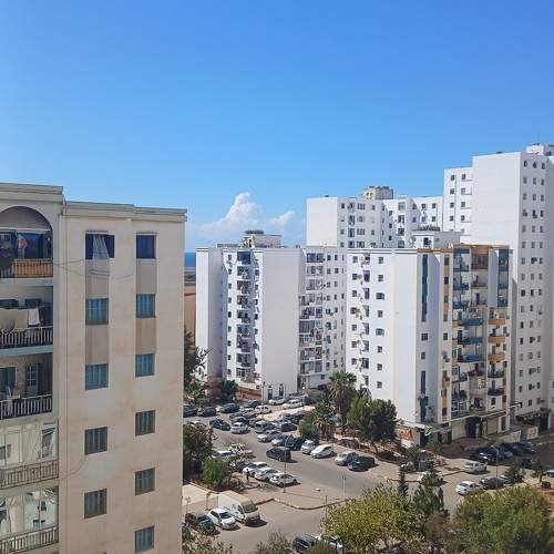 Photo #11233158