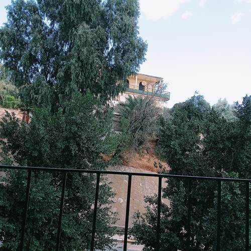 Photo #11233192