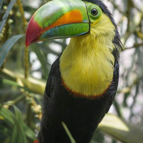 Фотография #11233579