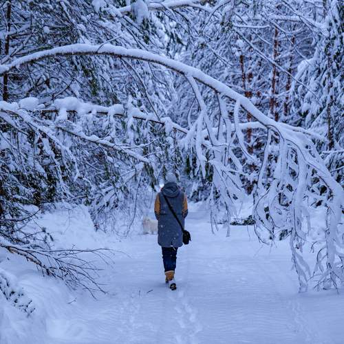 Photo #11233594
