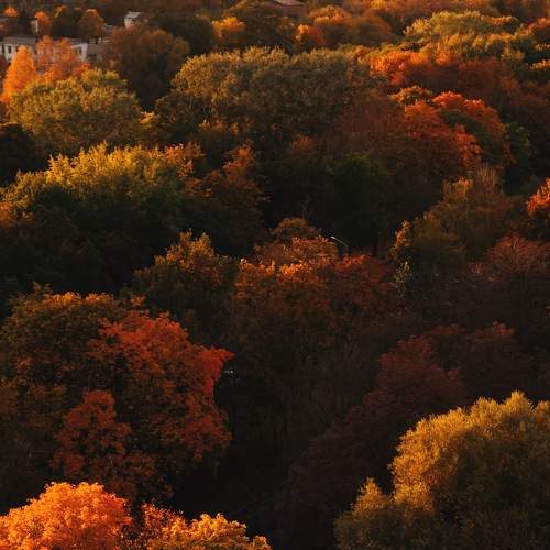 Photo #11233614