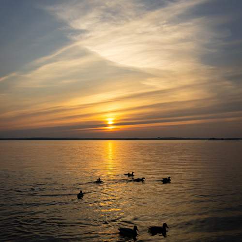 Photo #11233665