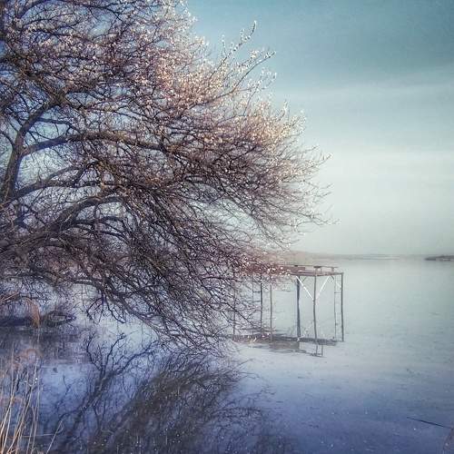 Photo #11233754