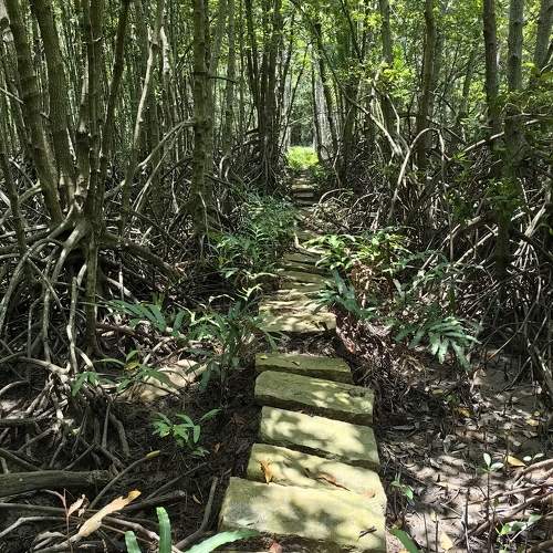 Photo #11233766