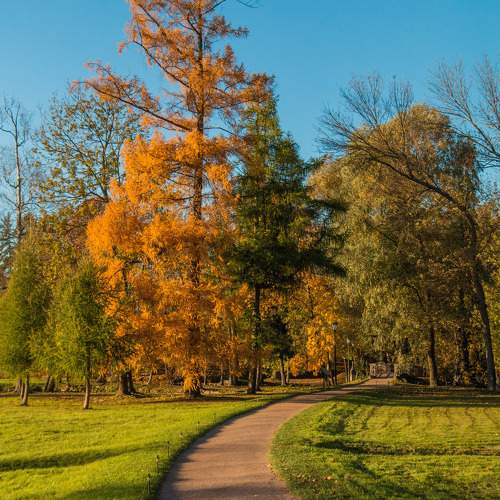 Photo #11233798