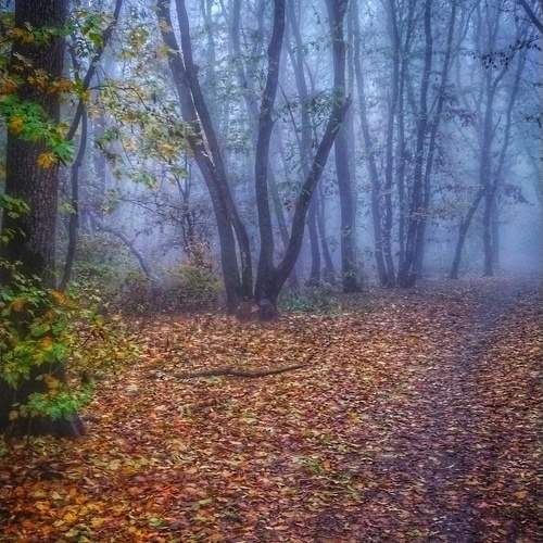 Photo #11233807