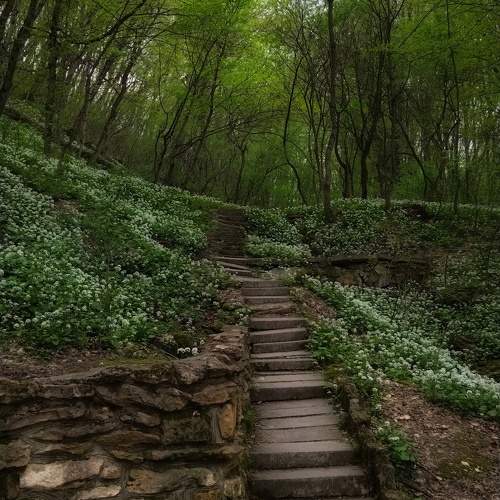 Photo #11233813