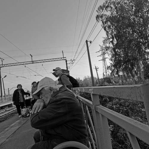 Photo #11234030