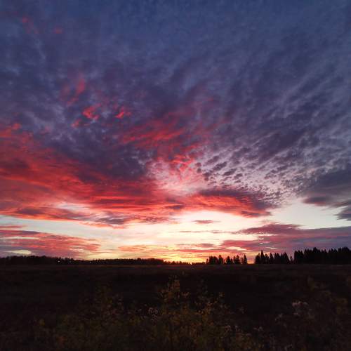 Photo #11234055