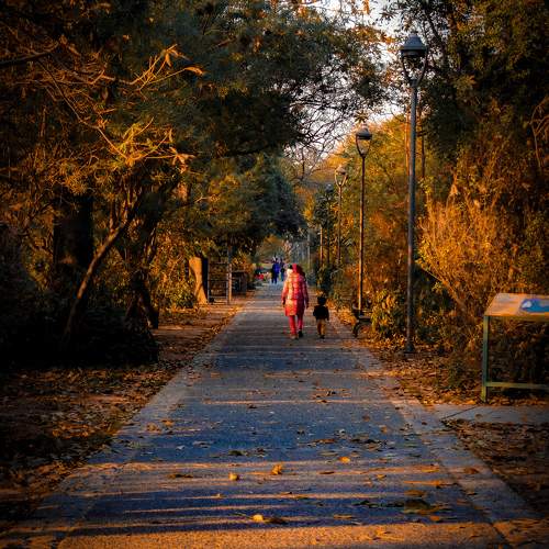 Photo #11234068