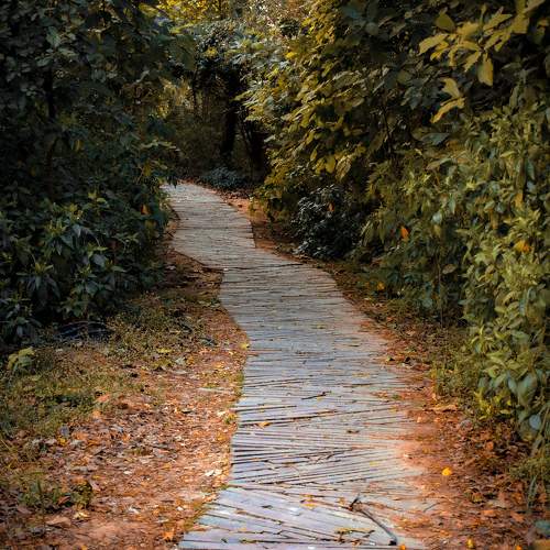 Photo #11234069