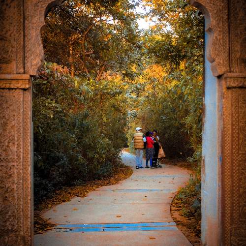 Photo #11234089